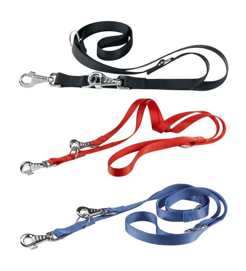 GUINZAGLIO ADDESTRAMENTO PER CANE 'CLUB GA' cm 200  x mm 20 - blu